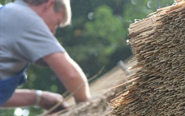 professional Lower Boscaswell thatchers